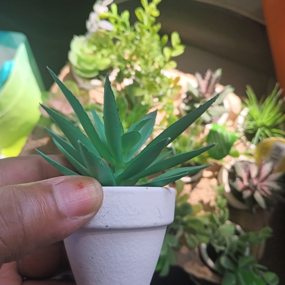 Lot Of 12 Micro Primafr Artificial Succulent Plants - Picture 4 of 11